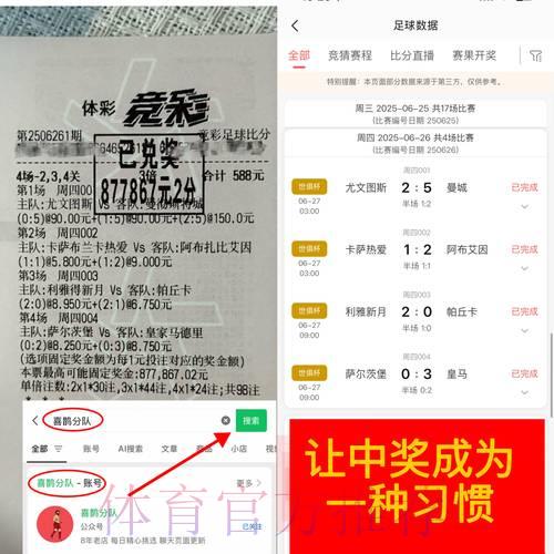 世界杯竞猜平台获利技巧全面解析与分享